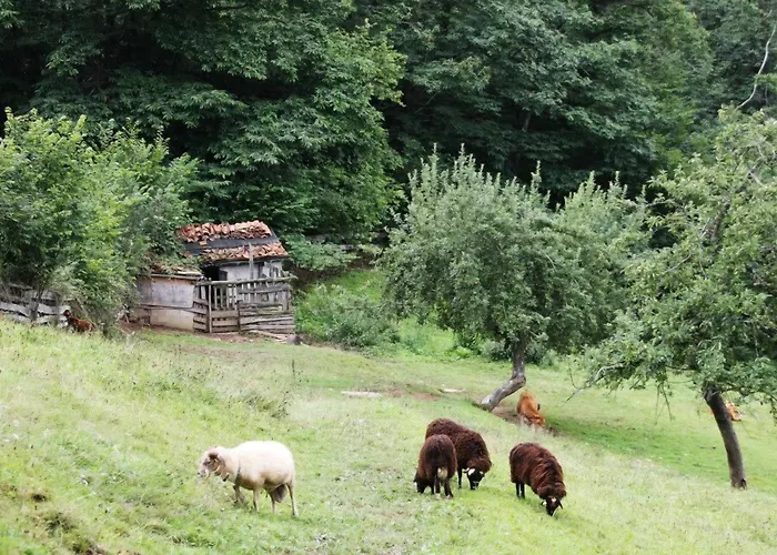 Caseria La Infiesta Hotel 3*