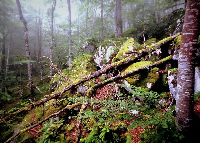 Caseria La Infiesta 3*